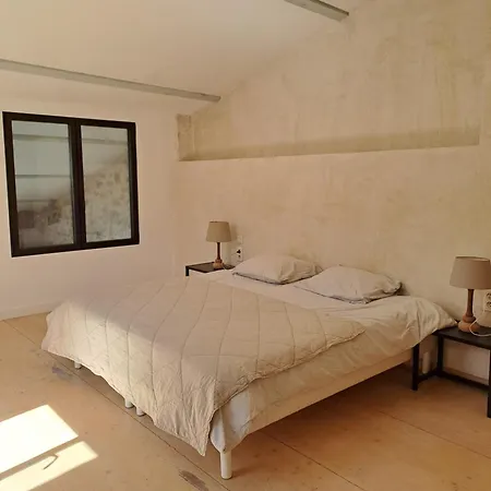 Loft Avec Patio Les Avignon Appartement *