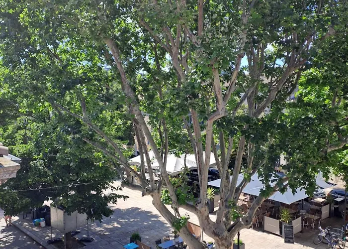 Loft Avec Patio Les Avignon
